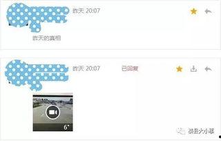 什么样的视频属于爆料,揭秘网络爆料背后的秘密与技巧